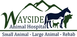 Wayside Animal Hospital Logo