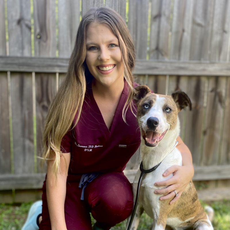 Meet Our Team – Wayside Animal Hospital