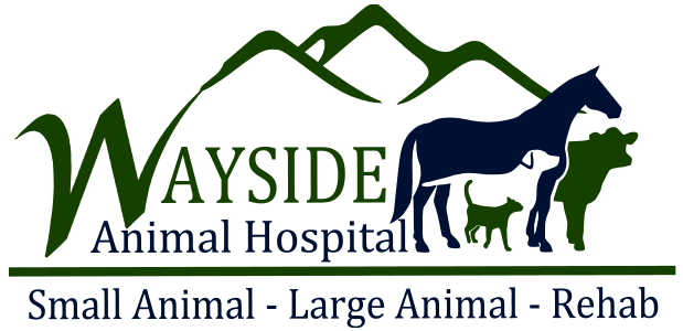 Wayside Animal Hospital logo