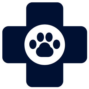 Emergency services icon