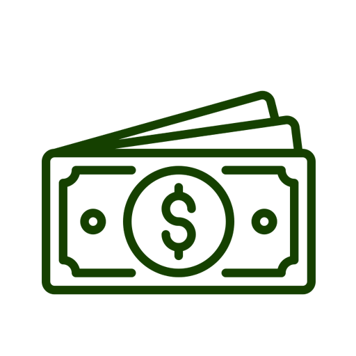 cash icon
