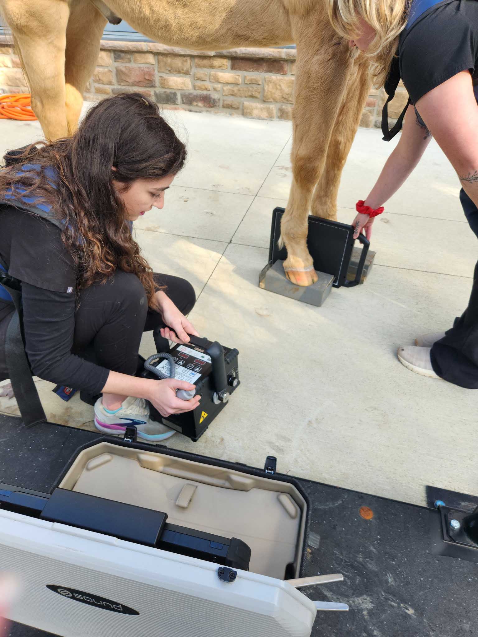 Veterinary technician X-raying horse hoof